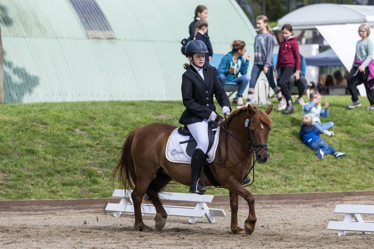 Bild 334 - Pony Akademie Turnier